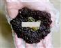 浓香黑米团子的做法图解5