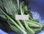 白灼菜心的做法图解2