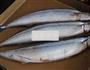 烤秋刀鱼的做法图解3