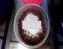 蜜红豆的做法图解5