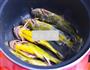 红烧黄骨鱼的做法图解3