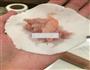 水晶虾饺皇的做法图解23