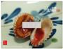 生腌血蚌的做法图解12