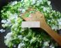 芹菜白菜炒饭的做法图解4
