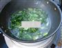 青菜粉丝煲的做法图解7
