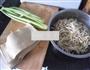 素炒绿豆芽的做法图解1