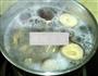 香菇木耳淡菜汤的做法图解8