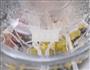 双味鲫鱼的做法图解6