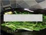 清炒油麦菜的做法图解6