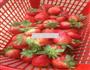 草莓沙拉的做法图解1