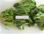 芥末拌菠菜的做法图解3