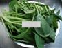 果仁菠菜的做法图解3
