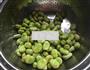 石锅蚕豆的做法图解3