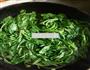 凉拌菠菜的做法图解1