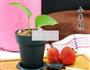 盆栽酸奶的做法图解12
