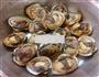 出彩毛蚶的做法图解8