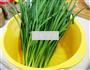 韭菜盒子的做法图解4