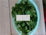蒸芹菜叶的做法图解1