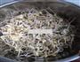 家用快速生豆芽法的做法图解9