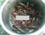 麻辣小龙虾的做法图解1