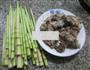 野山笋煮龙骨的做法图解1