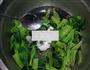 凉拌腰果菠菜的做法图解10