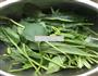 芝麻酱拌菠菜的做法图解1