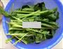 炝菠菜的做法图解1