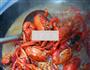 麻辣十三香小龙虾的做法图解6