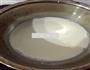 木瓜鲜奶冻的做法图解5