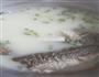 鲫鱼汤的做法图解7