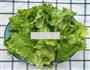 蚝油生菜的做法图解1