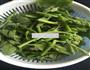 清炒南瓜藤的做法图解3