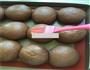 全麦可可奶酥小餐包的做法图解10