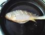 干烧黄花鱼的做法图解4