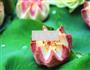荷花酥的做法图解32