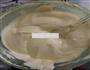 8寸戚风蛋糕的做法图解5