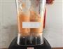 胡萝卜雪梨汁的做法图解3