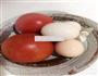 西红柿炒鸡蛋的做法图解1