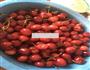 自制樱桃酱的做法图解1