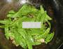 豆荚松板肉的做法图解9
