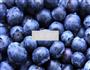 蓝莓巧克力的做法图解1