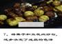 栗子红烧肉的做法图解7