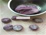 紫薯全麦豆包的做法图解2
