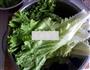 炝生菜的做法图解1