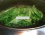 白灼唐生菜的做法图解2