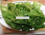 白灼唐生菜的做法图解3