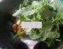 黄瓜苋菜炒肉的做法图解9