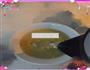 鸡肉西兰花鸡蛋羹的做法图解6