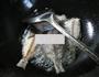 豉香黑鲳鱼的做法图解2